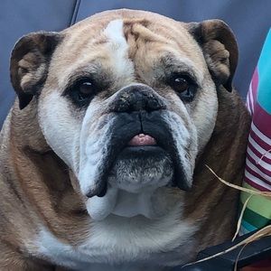 Meet your Posher, Rebecca